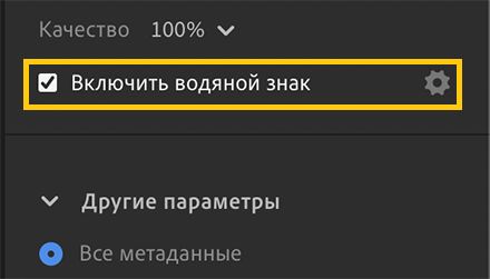 Параметр «Добавить водяной знак» в настройках экспорта