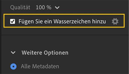Die Option „Wasserzeichen hinzufügen“ in den Exporteinstellungen