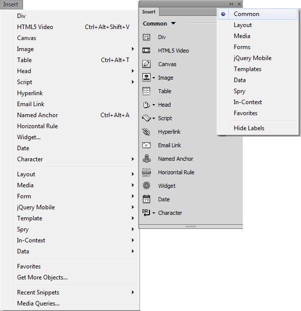 خيارات Insert في Dreamweaver 12.1