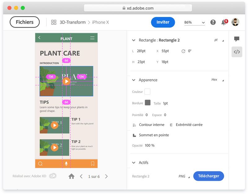 Inspecter les formes