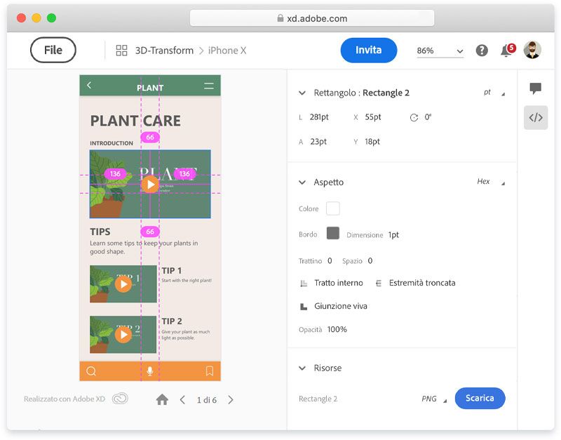 Ispezione delle forme