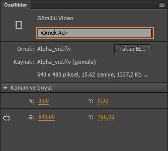 Video klip örneği adı