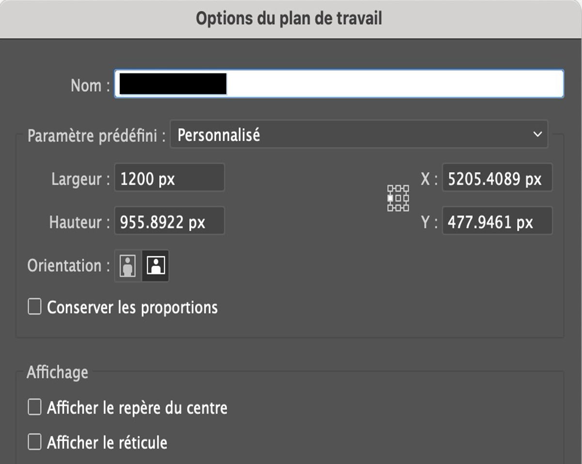 Boîte de dialogue Options du plan de travail affichant les champs pour le nom, la largeur et la hauteur personnalisées, la position X et Y, l’orientation et les paramètres d’affichage.
