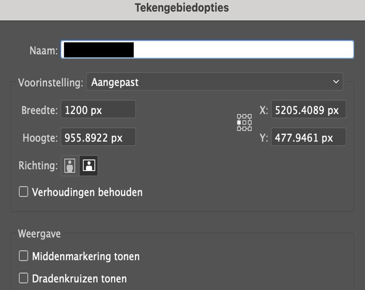 Dialoogvenster Tekengebiedopties met velden voor naam, aangepaste breedte en hoogte, X- en Y-positie, afdrukstand en weergave-instellingen.