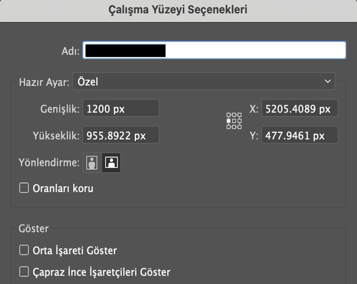 Çalışma Yüzeyi Seçenekleri iletişim kutusunda ad, özel genişlik ve yükseklik, X ve Y konumu, yön ve görüntüleme ayarları için alanlar gösteriliyor.