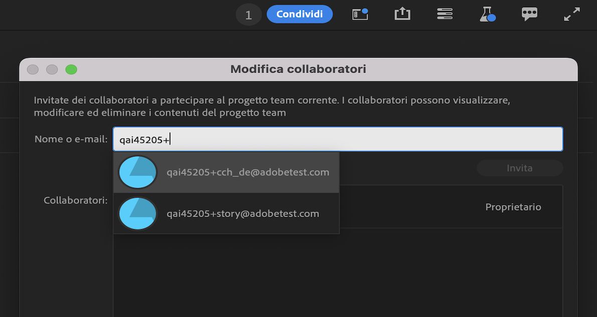 L’interfaccia utente mostra come aggiungere collaboratori a un progetto utilizzando l’opzione Condividi.