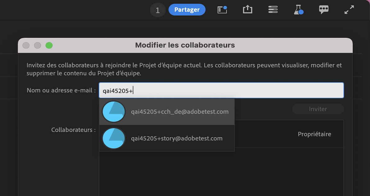 L’interface utilisateur montre comment ajouter des collaborateurs et des collaboratrices à un projet à l’aide de l’option Partager.