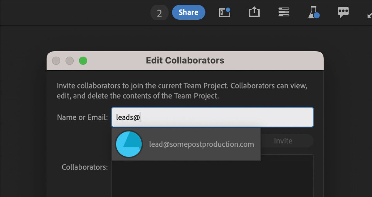 UI shows how you can add collaborators to a project by using the Share option.