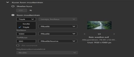 Valitse Adobe Bridgen Muunna koko täyttämään -asetus.