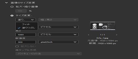 Adobe Bridge で、「サイズを変更して塗りつぶし」オプションを選択します。