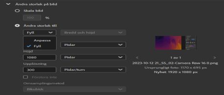 Välj alternativet Fyll och anpassa storlek i Adobe Bridge.