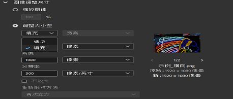 在 Adobe Bridge 中选择“调整大小以填充”选项。