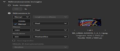 Selezionate l'opzione Ridimensiona per riempire in Adobe Bridge.