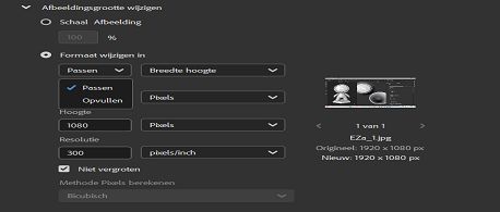 Selecteer de optie Passend maken in Adobe Bridge.