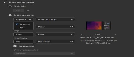 Välj alternativet Anpassa storlek i Adobe Bridge.