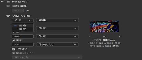 在 Adobe Bridge 中选择“调整大小以适合”选项。