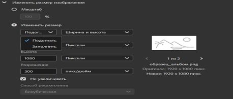 Выберите параметр «Изменить размер для подгонки» в Adobe Bridge.