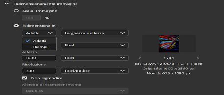 Selezionate l'opzione Ridimensiona per adattare in Adobe Bridge.