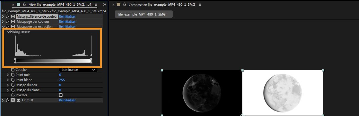 Cet histogramme représente les niveaux de luminosité du calque, tout en indiquant le nombre relatif de pixels pour chaque niveau,