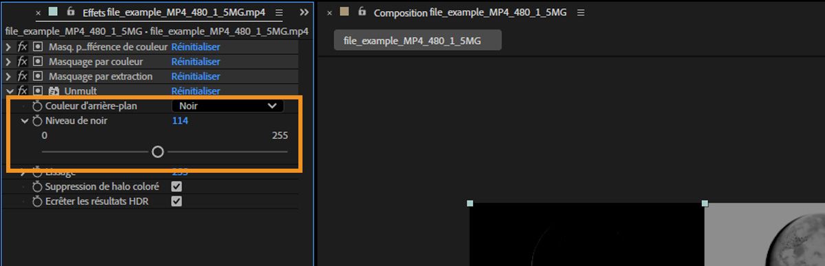 Le panneau Options d’effet affiche la propriété Couleur d’arrière-plan et le curseur Niveau de noir pour travailler avec les zones sombres du calque sélectionné.