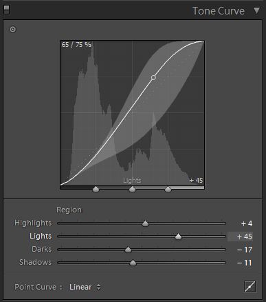 Larger and improved Tone Curve in Develop module.