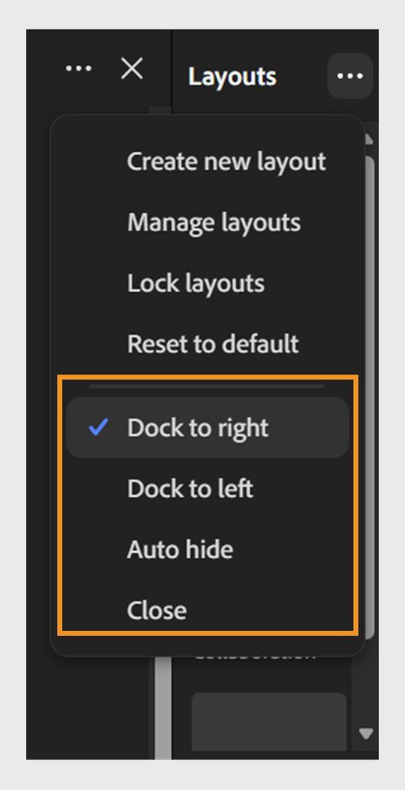 Layout panel options