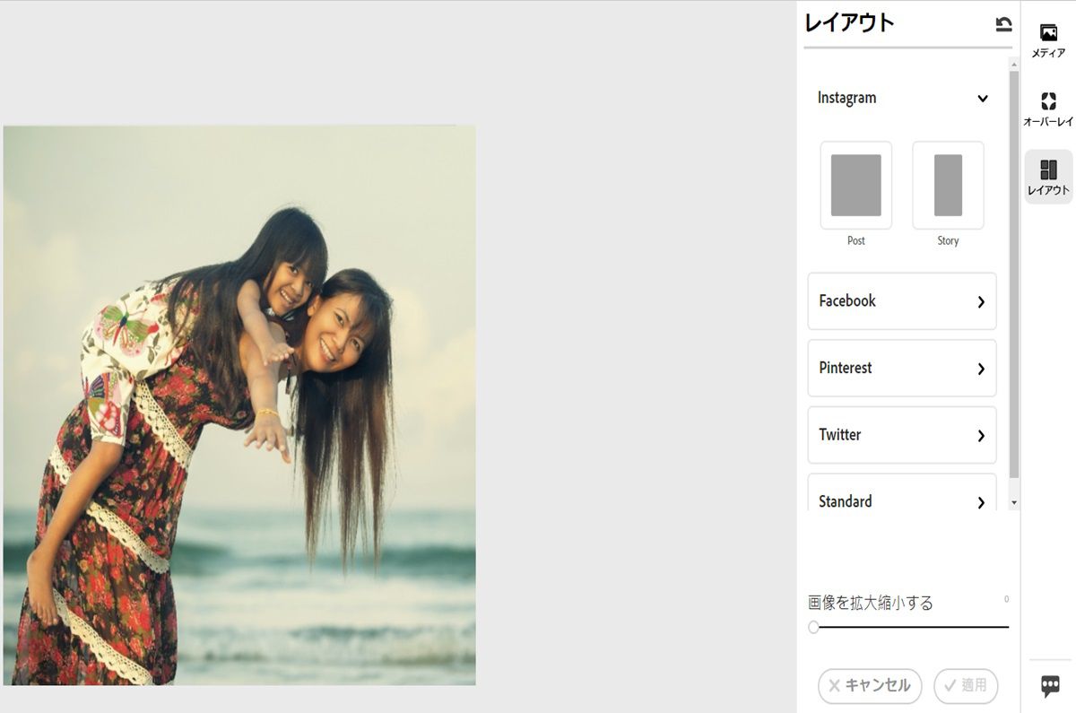 レイアウトパネル内から、Facebook、Pinterest、Twitter などの標準プリセットを確認しましょう。