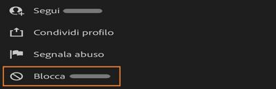 Bloccare un fotografo in Lightroom