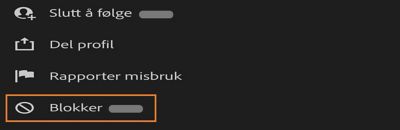 Blokker en fotograf i Lightroom