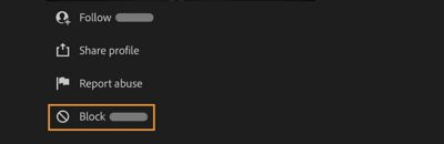 Block a photographer in Lightroom