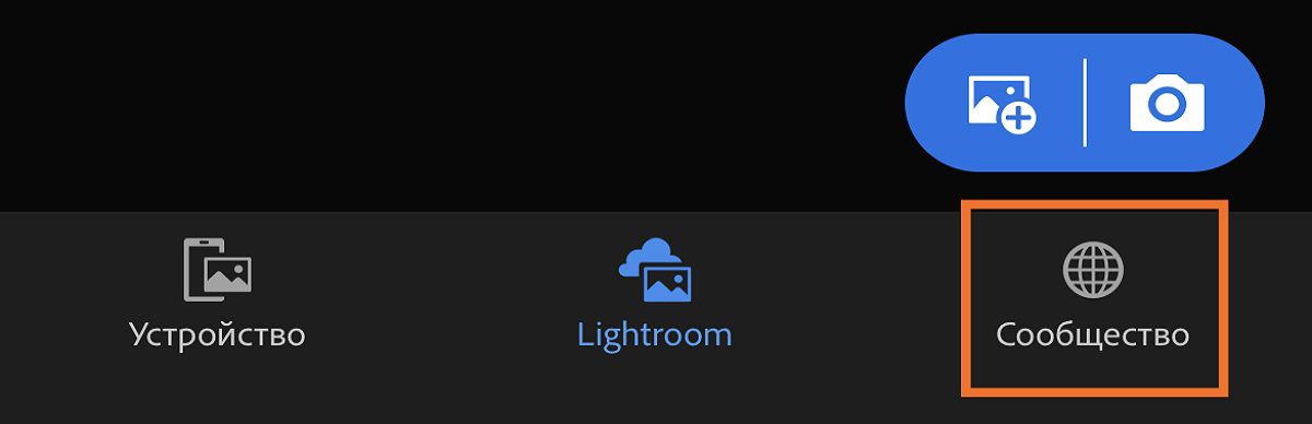 Сообщество