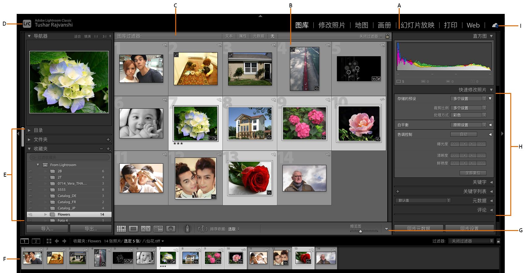 Lightroom Classic 图库模块