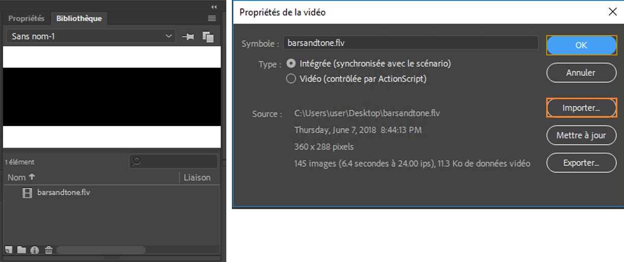 Option Importer dans la bibliothèque