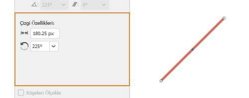 Canlı şekil özellikleri | Çizgi