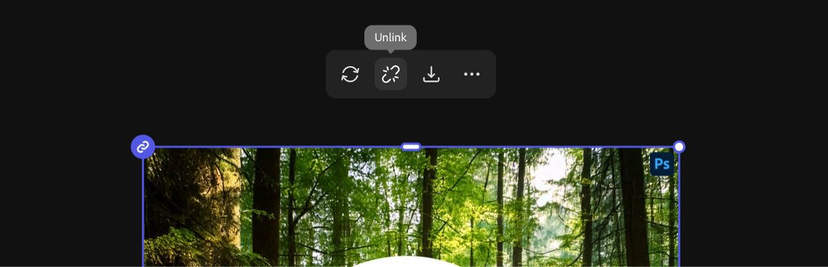 The linked asset is selected, and the option to unlink it is available to disconnect it from the source file.