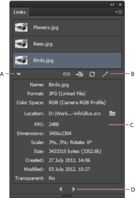 اللوحة Links مع منطقة معلومات الروابط