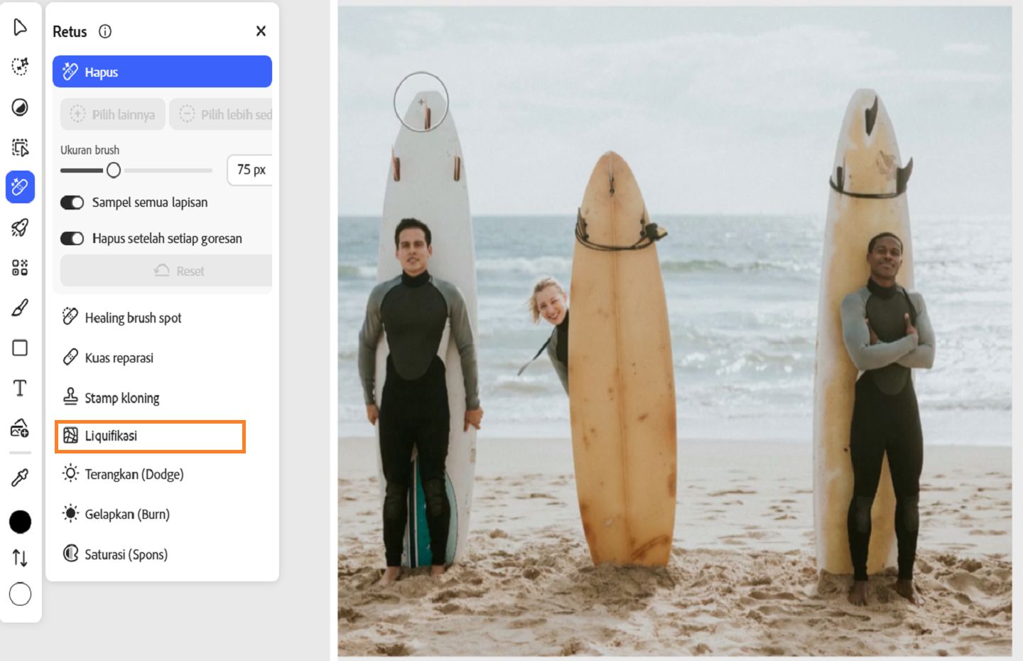 Panel Poles menampilkan alat Liquify yang disorot, yang digunakan untuk mendistorsi, memoles, dan menyempurnakan gambar.