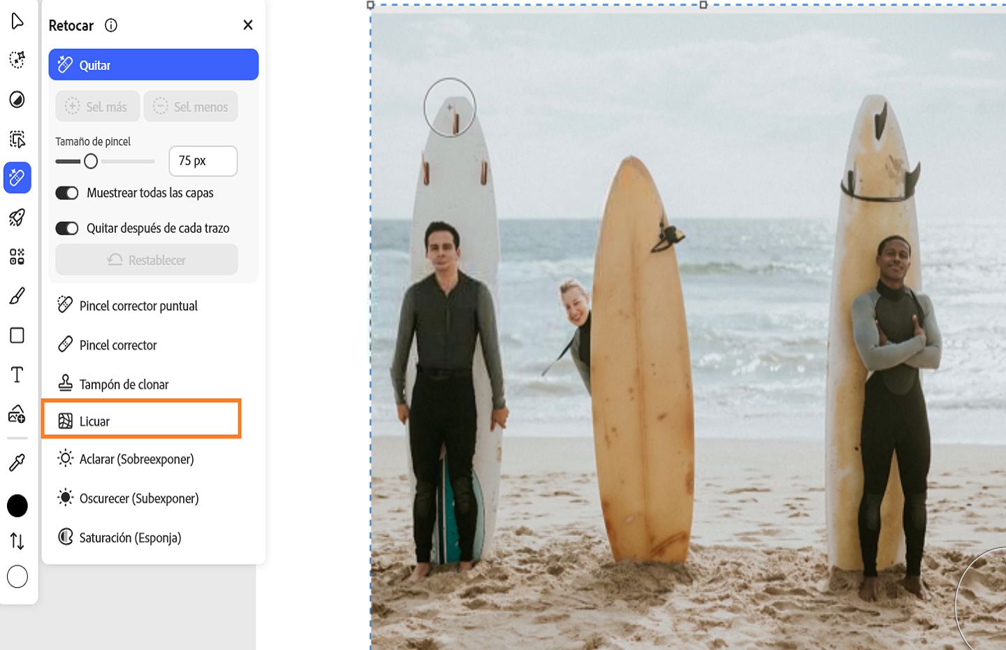 El panel Retocar muestra la herramienta Licuar resaltada, que se utiliza para distorsionar, retocar y mejorar imágenes.