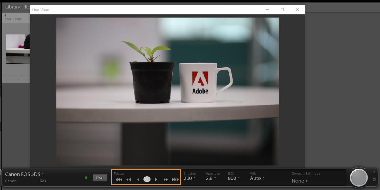 フォーカスコントロールボタン