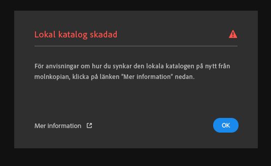 Det gick inte att flytta vissa foton