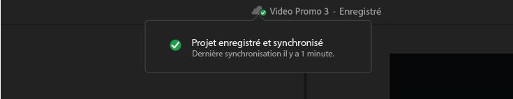 Une indication qui montre que les projets Team Projects sont enregistrés et synchronisés.Elle contient également des détails sur la date du dernier enregistrement.