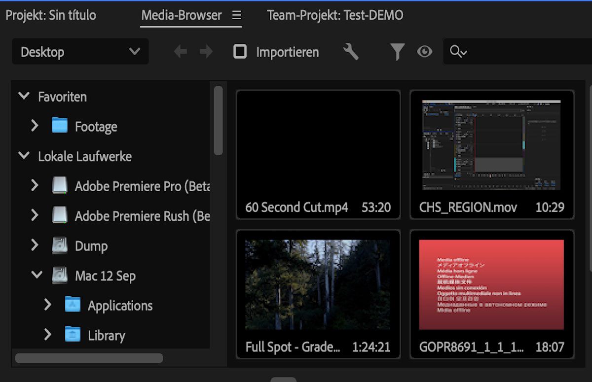 Ein Screenshot der im Media-Browser von Premiere Pro synchronisierten Dateien im verknüpften OneDrive-Ordner.