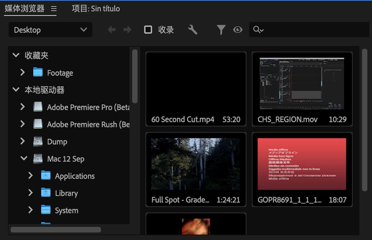 显示了在 Premiere Pro 媒体浏览器中同步的关联 One Drive 存储位置中的文件的屏幕截图。