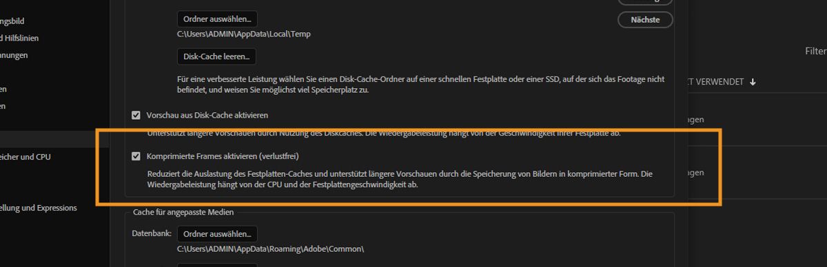 Der Abschnitt „Disk-Cache“ ist geöffnet und die Option „Komprimierte Frames aktivieren (verlustfrei)“ ist deaktiviert.