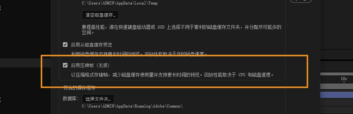 磁盘缓存部分已打开，且启用压缩帧（无损）选项已取消选中。