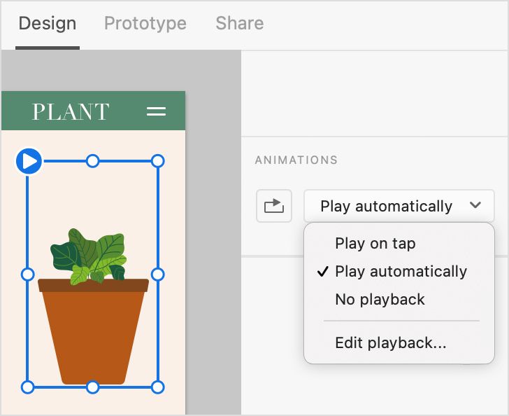 Imposta un'opzione di riproduzione per il tuo file Lottie