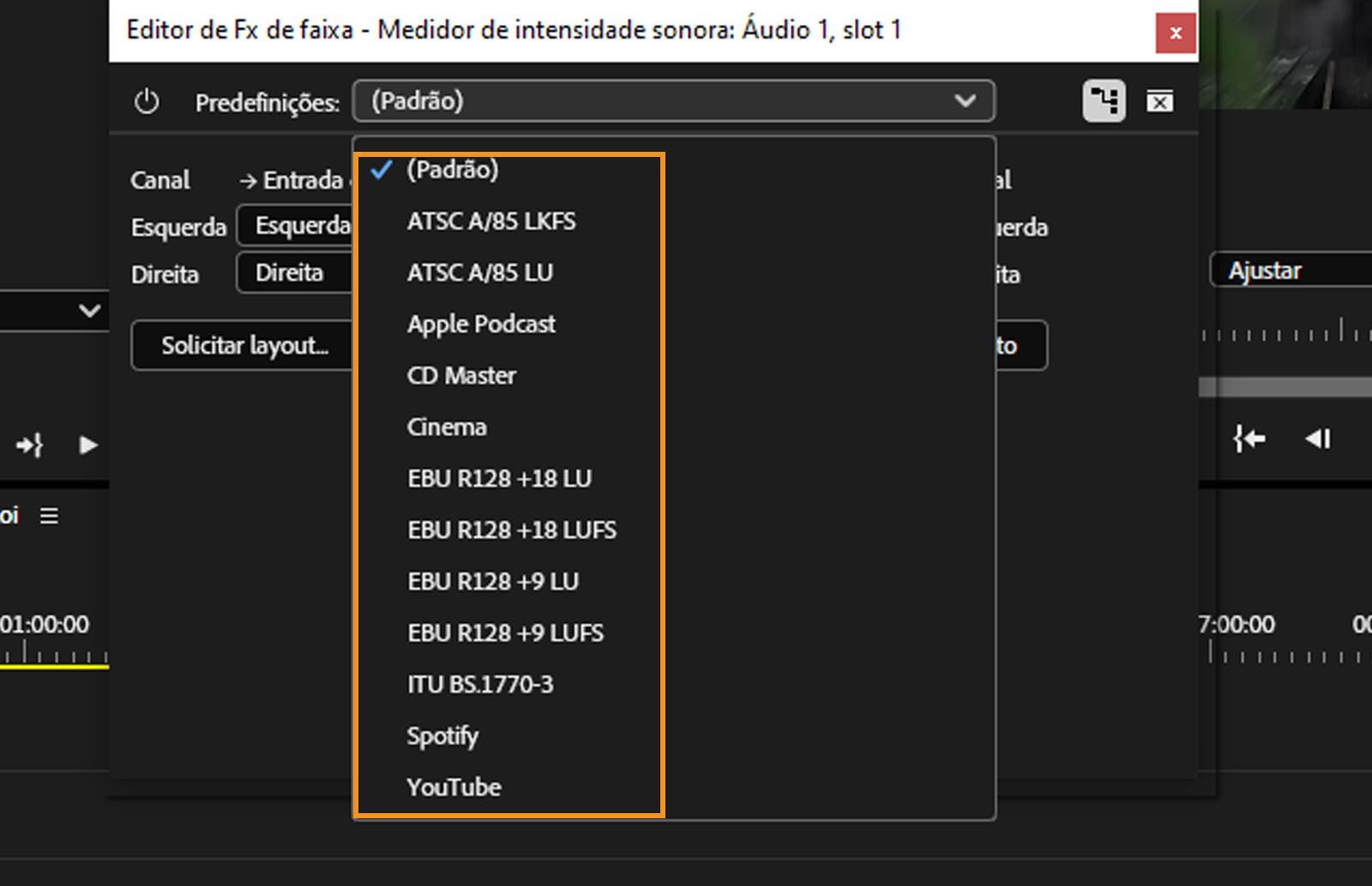 A caixa de diálogo “Medidor de volume” aberta com várias opções predefinidas. 