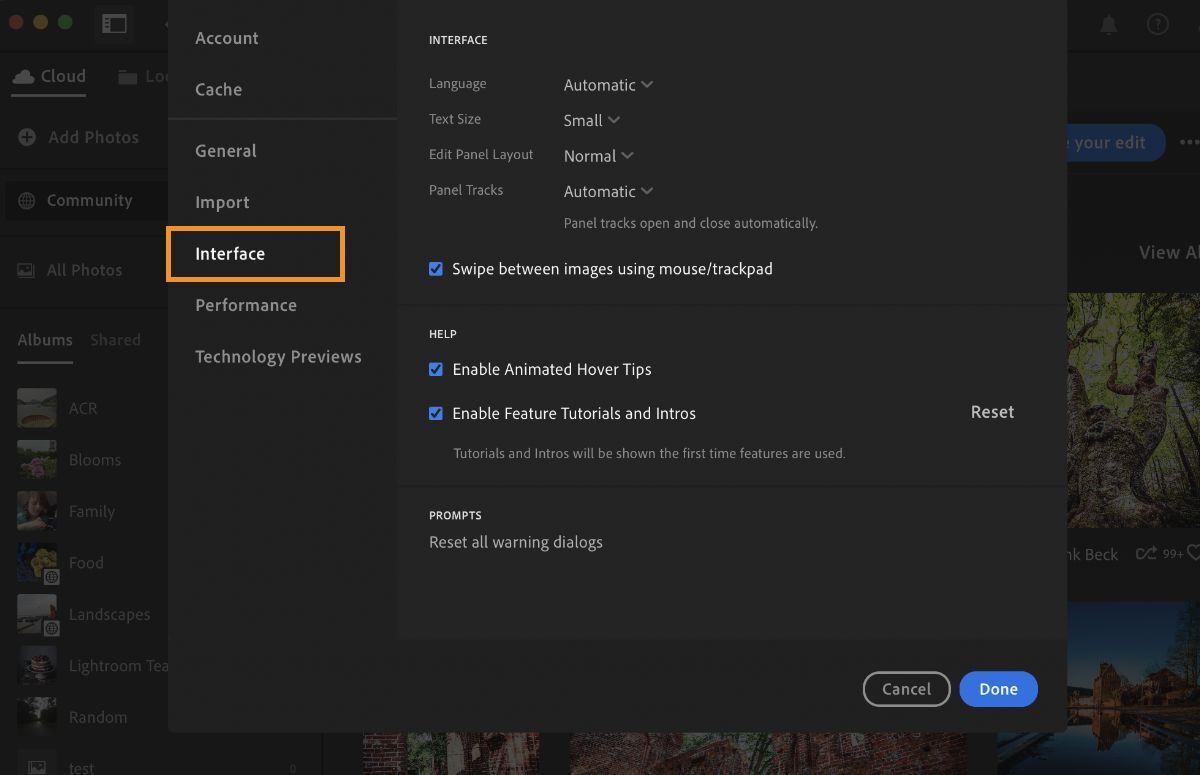 Interface preferences in Lightroom CC