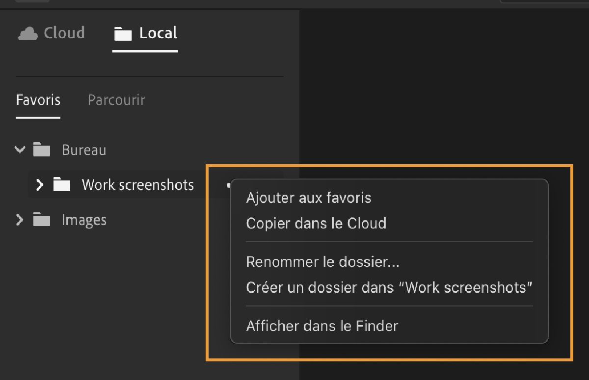 Organisez et modifiez les médias stockés localement dans Lightroom.