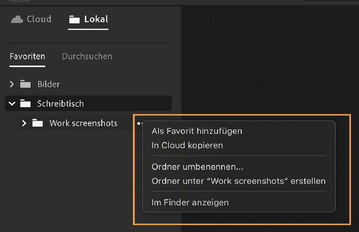 Organisiere und bearbeite lokal gespeicherte Medien in Lightroom.